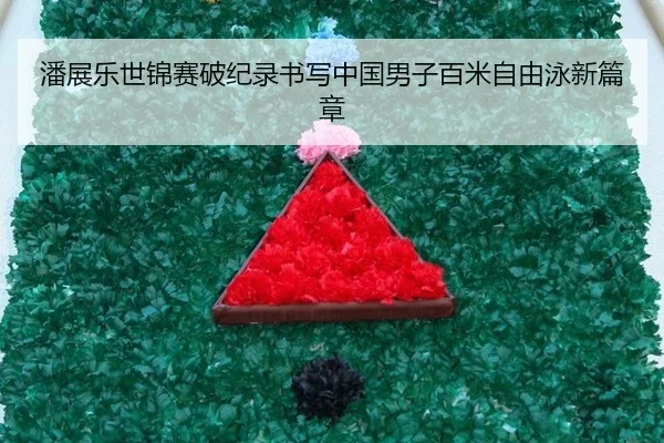 pan-zhan-le-shi-jin-sai-po-ji-lu-shu-xie-zhong-guo-nan-zi-bai-mi-zi-you-yong-xin-pian-zhang-3-571.jpg